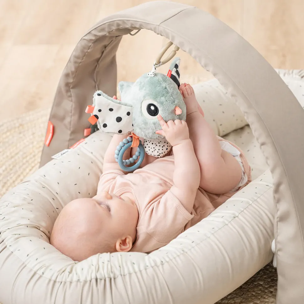 Aktivitets- og sanselegetøj Birdee Blå