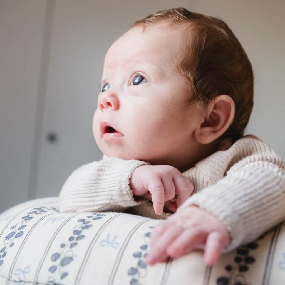 Ammepude - Bell Flower