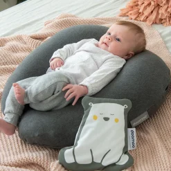 Ammepude - Chine Anthracite