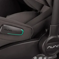 Arra flex V1 - Thunder