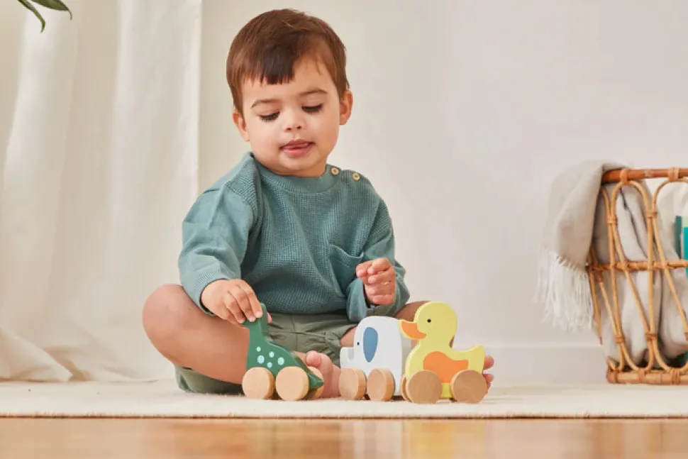 Barbo Wood - små assorterede trædyr