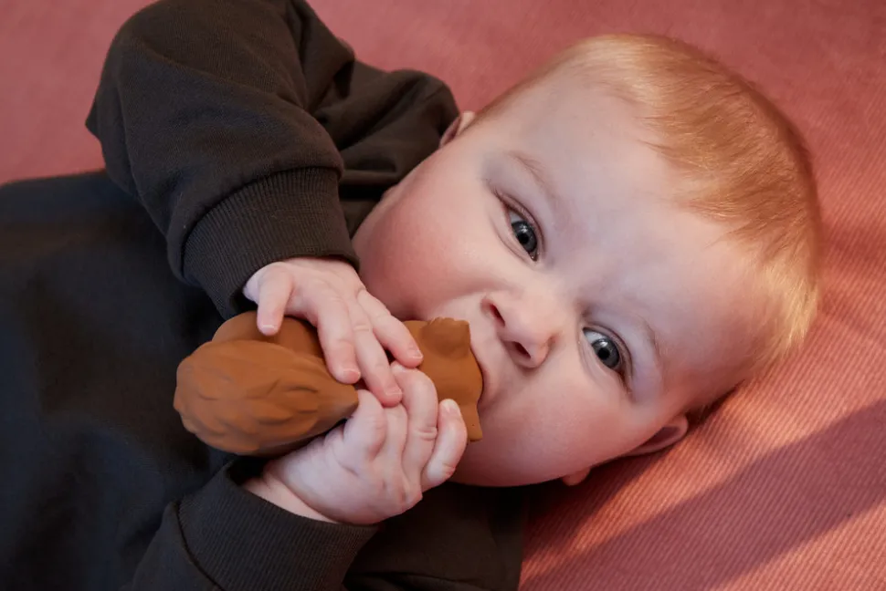 Bidedyr i naturgummi - egernet sonja