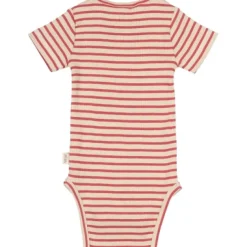 Body SS Striper - BERRYWHITE