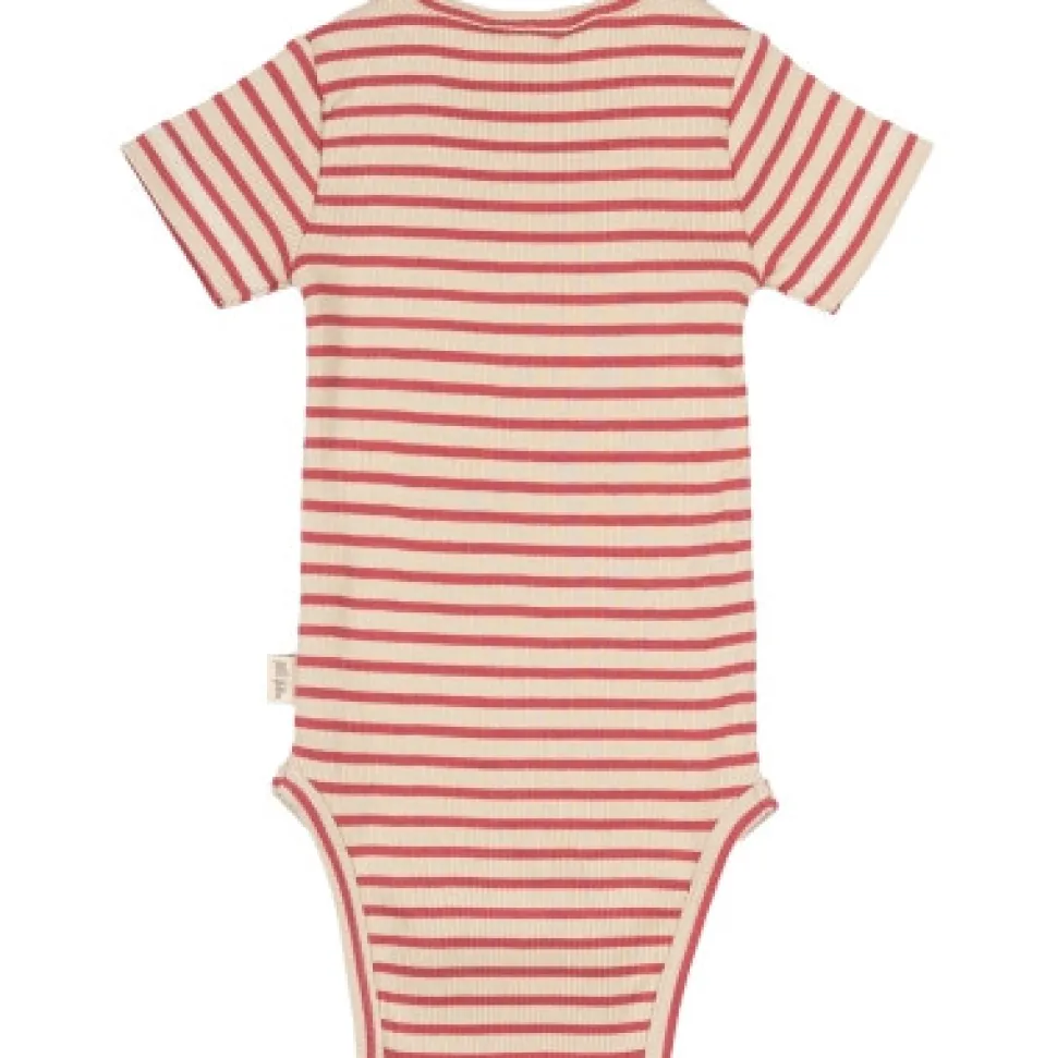 Body SS Striper - BERRYWHITE