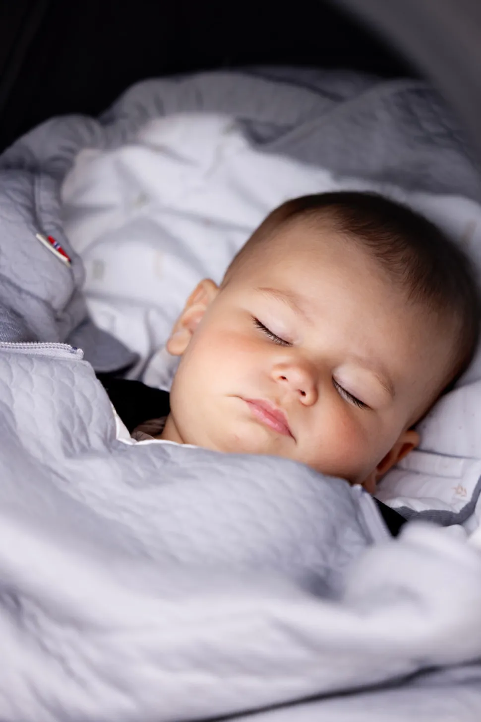 Breeze Light - Grey Fields