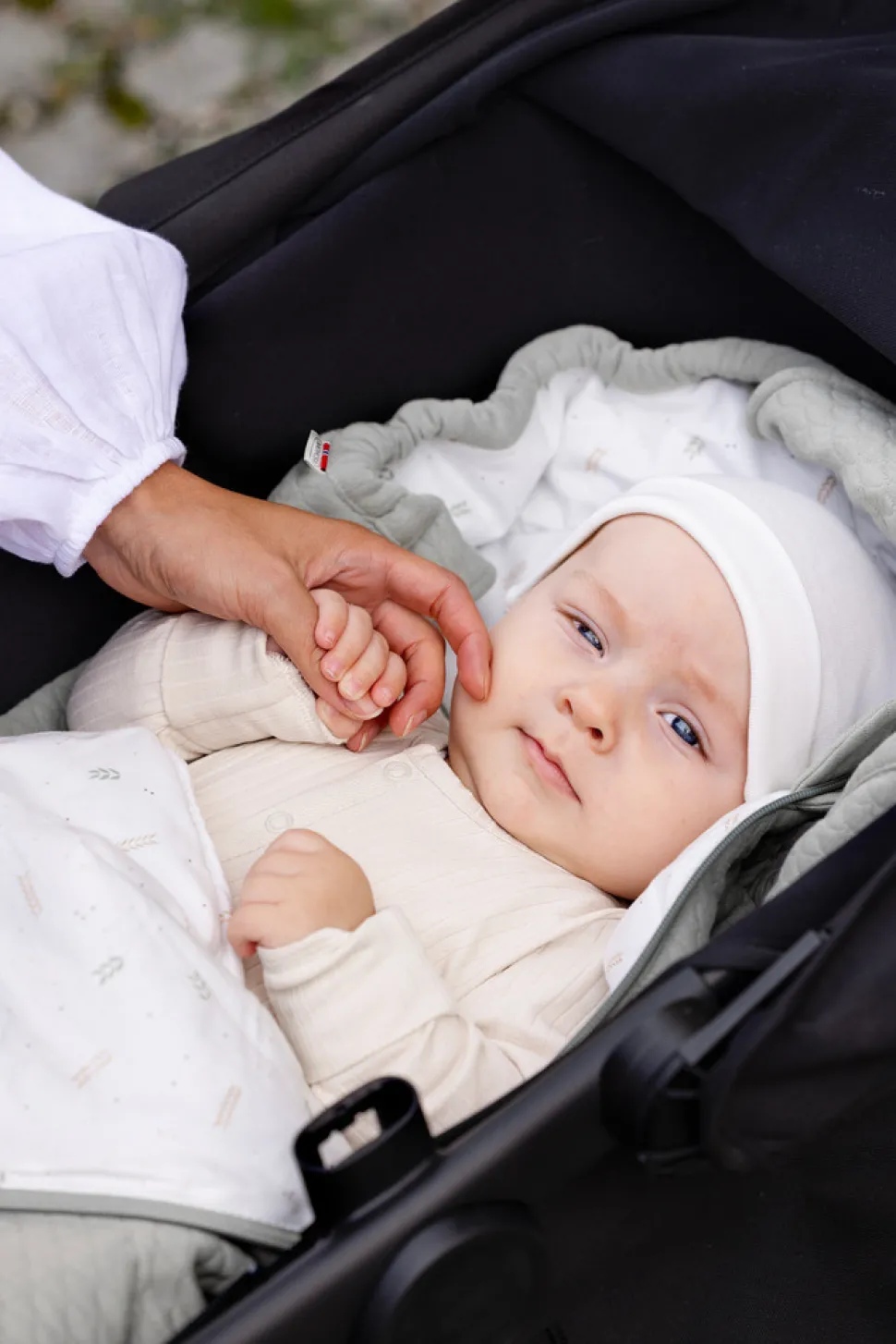 Breeze Light - Misty Green Fields