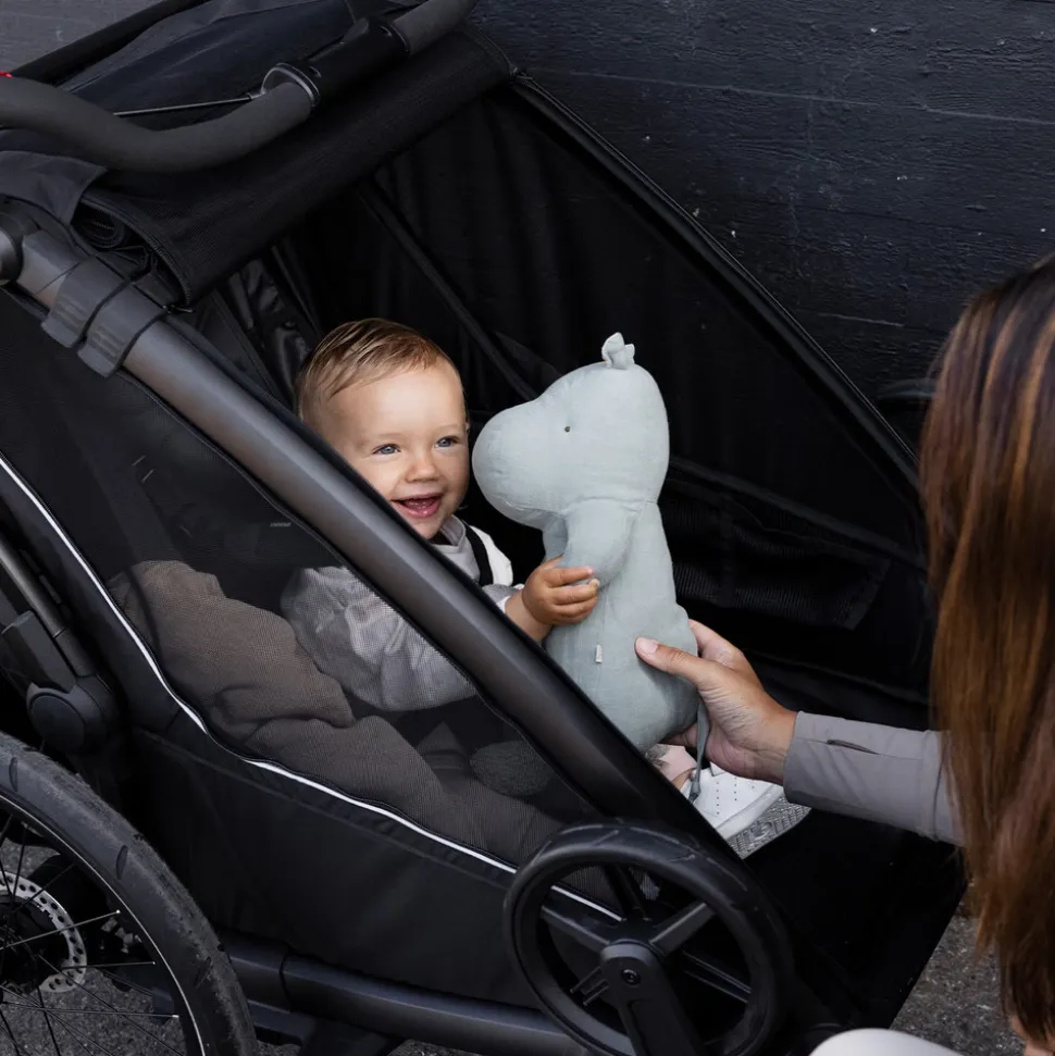 Chariot Sport 2 double - Black