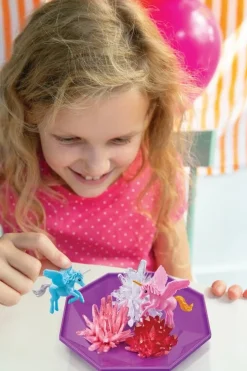 Crystal Growing / Unicorn Crystal Terrarium