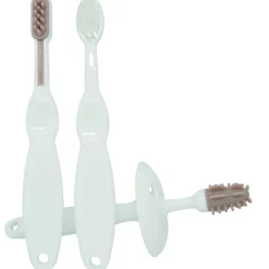 3delt trænings tandbørste sæt, blomme