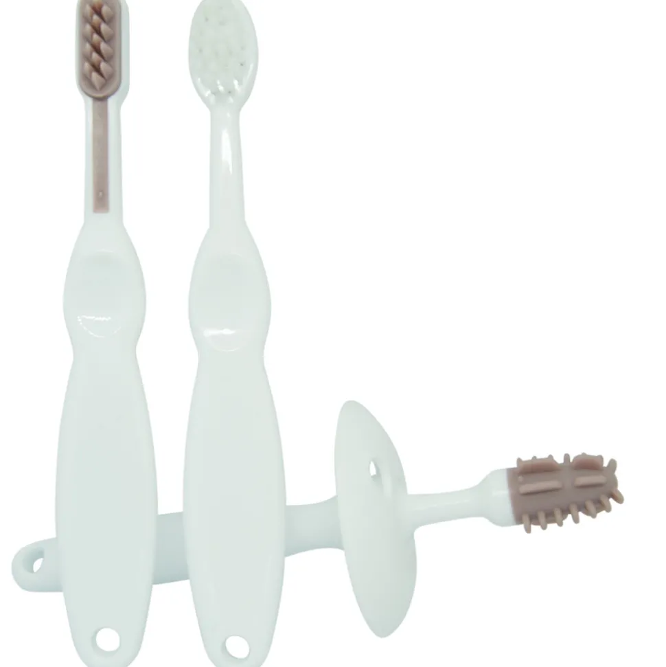 3delt trænings tandbørste sæt, blomme