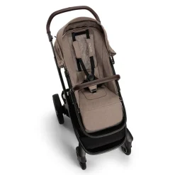 Demi Next - Cedar (2024)