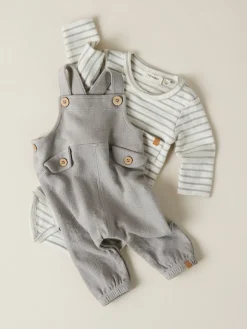 Denji ls body - TURTLEDOVE