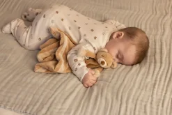 Diinglisar - Nusseklud, Bamse