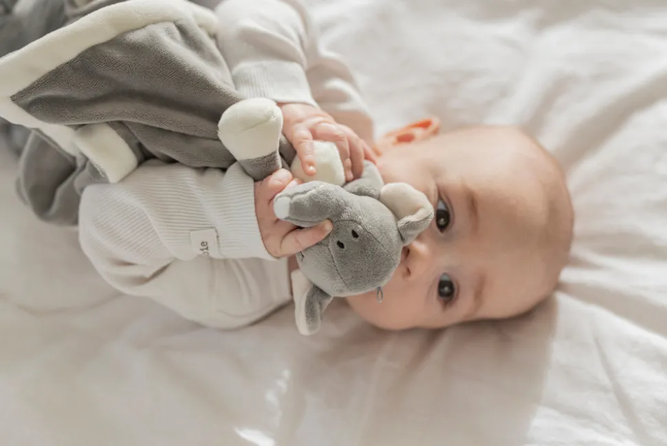 Diinglisar nusseklud Elefant i Grå