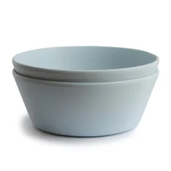 Dinner Bowl Powder Blue