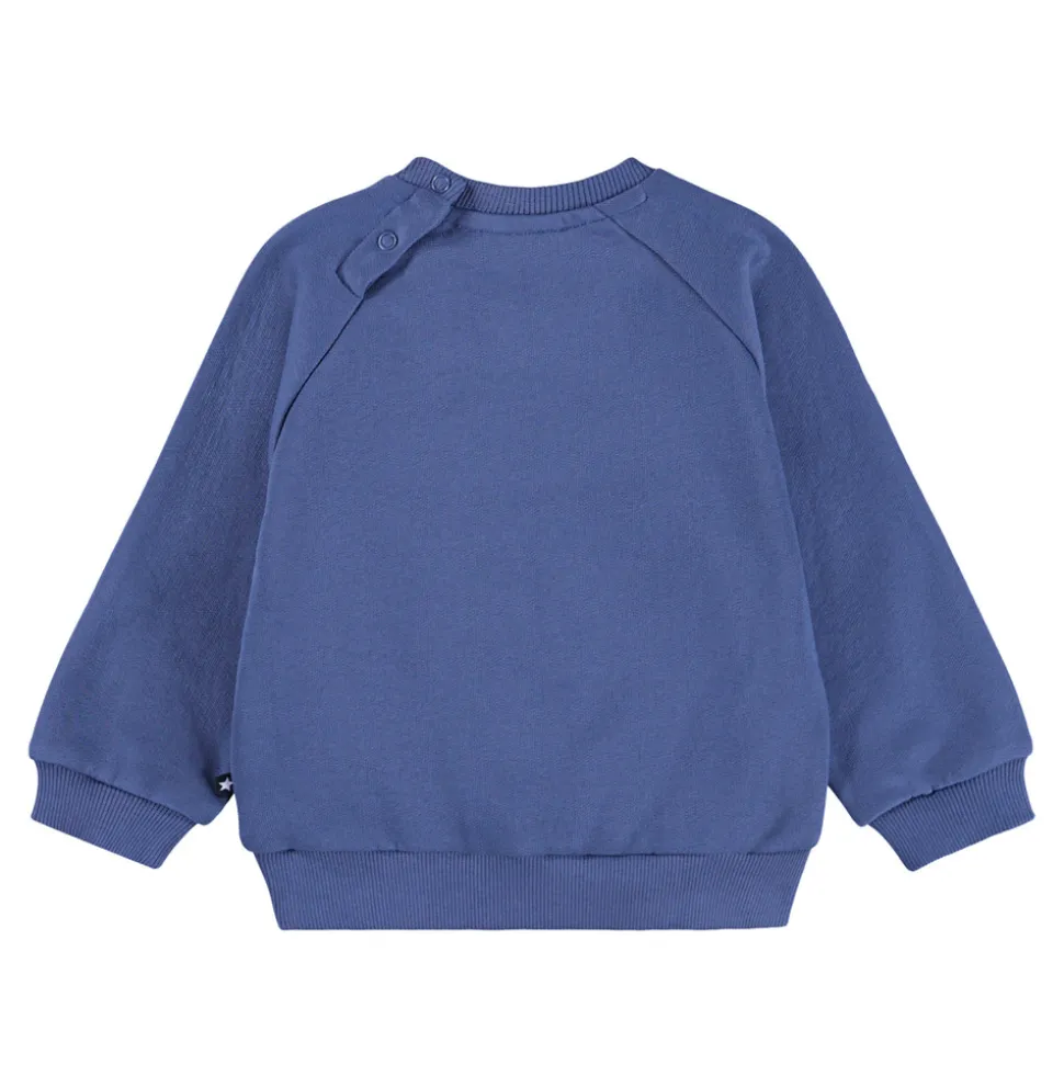 Disc Sweatshirt - 9761