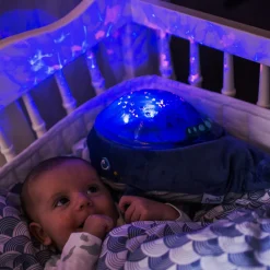 Dynamic Undervands Projector Hval