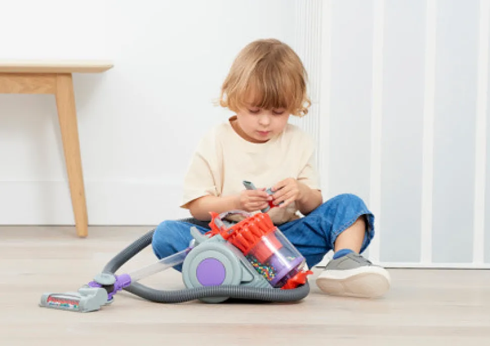 Dyson DC22 Støvsuger