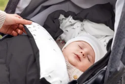 Explorer - grey flying