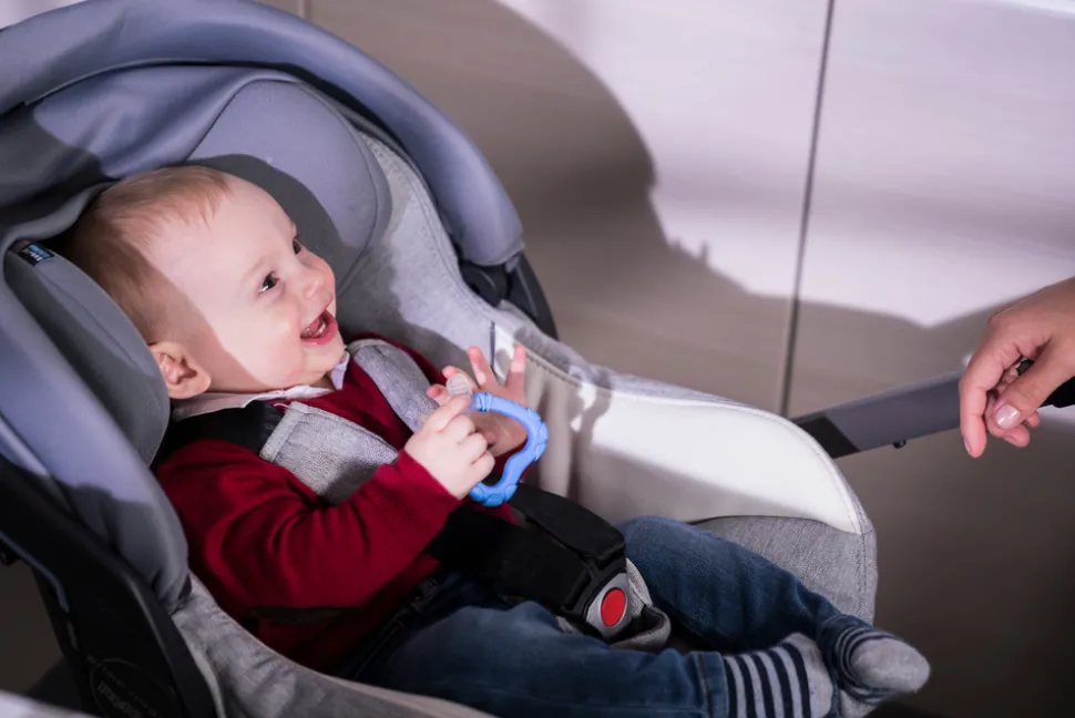 FLAVORILLO 2 i 1 frugtsut og bidering - grøn