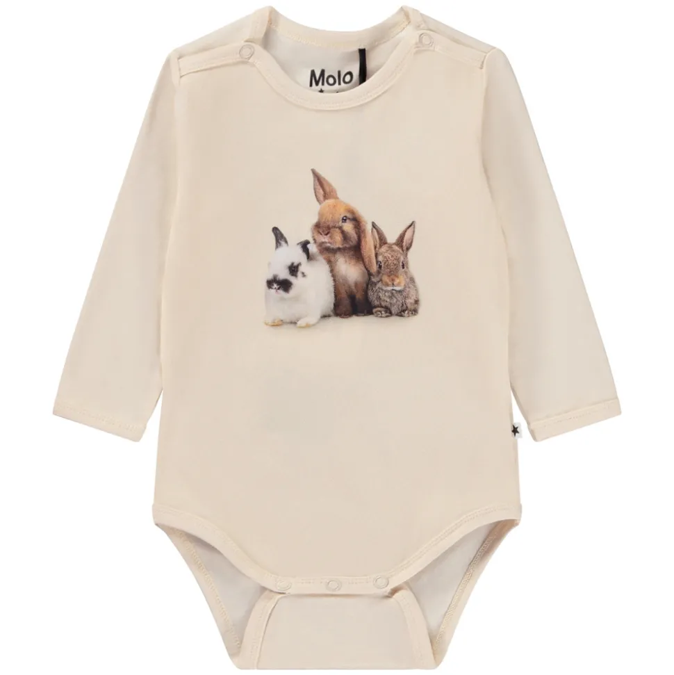 Foss body - Rabbit Group