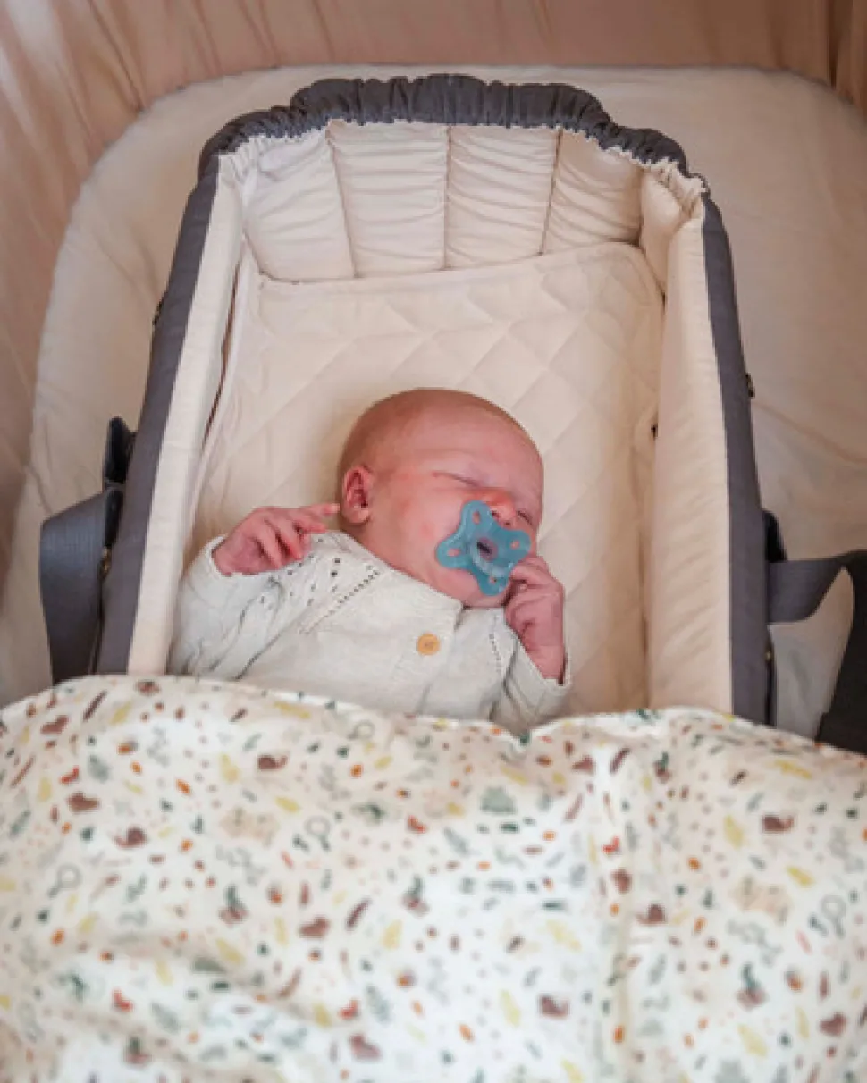 Frida Swift lift 2.0 inkl. kaleche - Grey