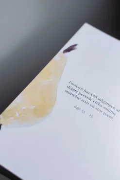 Fuld af liv - min graviditet