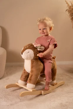 Gyngedyr Fairy Garden