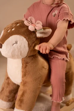 Gyngedyr Fairy Garden