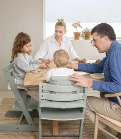 Højstol inkl. babysæt - glacier green