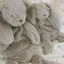 Houston tyngde bamse stor Kanin