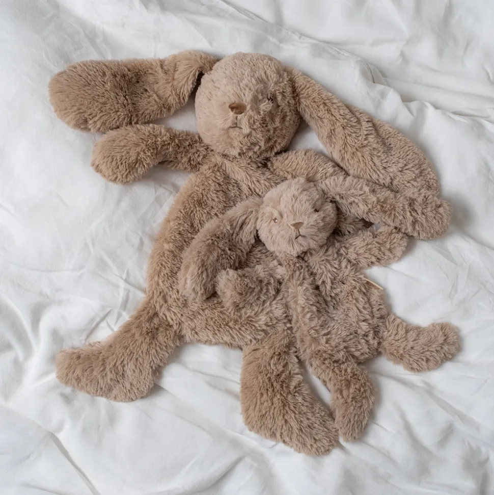 Houston tyngde bamse stor Kanin