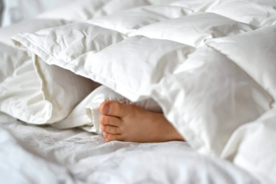 Kapok Junior Hovedpude