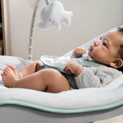 Keep Cozy Grow - Weaver baby vippestol