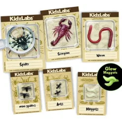 Kidzlabs /Creepy crawly digging kit