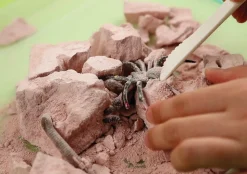 Kidzlabs /Creepy crawly digging kit