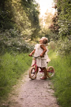 Løbecykel, 2-hjulet, Vintage rose