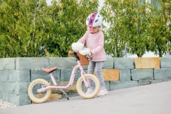 LR XL Br Classic - retro rose