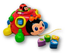 Læreinsekt Med Skøre Ben