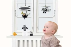 Luftballon, noahs ark