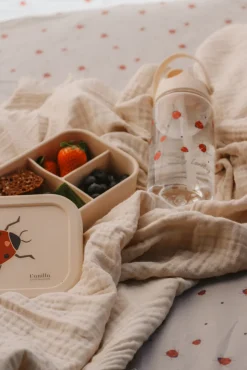 Madkasse - Ladybug- Silikone