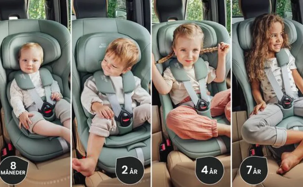 Max-Safe Pro - space black