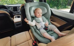 Max-Safe Pro - space black