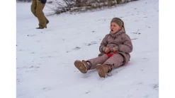 Numse slæde ass. farver