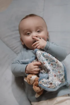 Nusseklud Ræv - Forest Friends