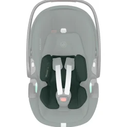 Pebble 360 Pro2 - Twillic Green