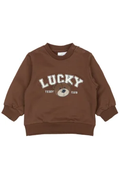 Perseus Sweatshirt - PINECONE