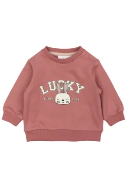 Pheba Sweatshirt - Withered rose