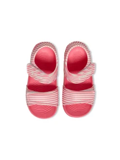 Playa jr - Conch shell