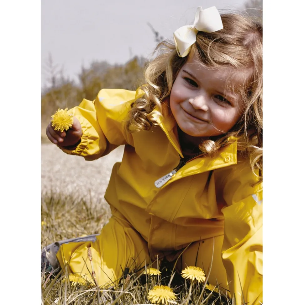 Regnsæt - Sunflower